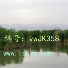 û